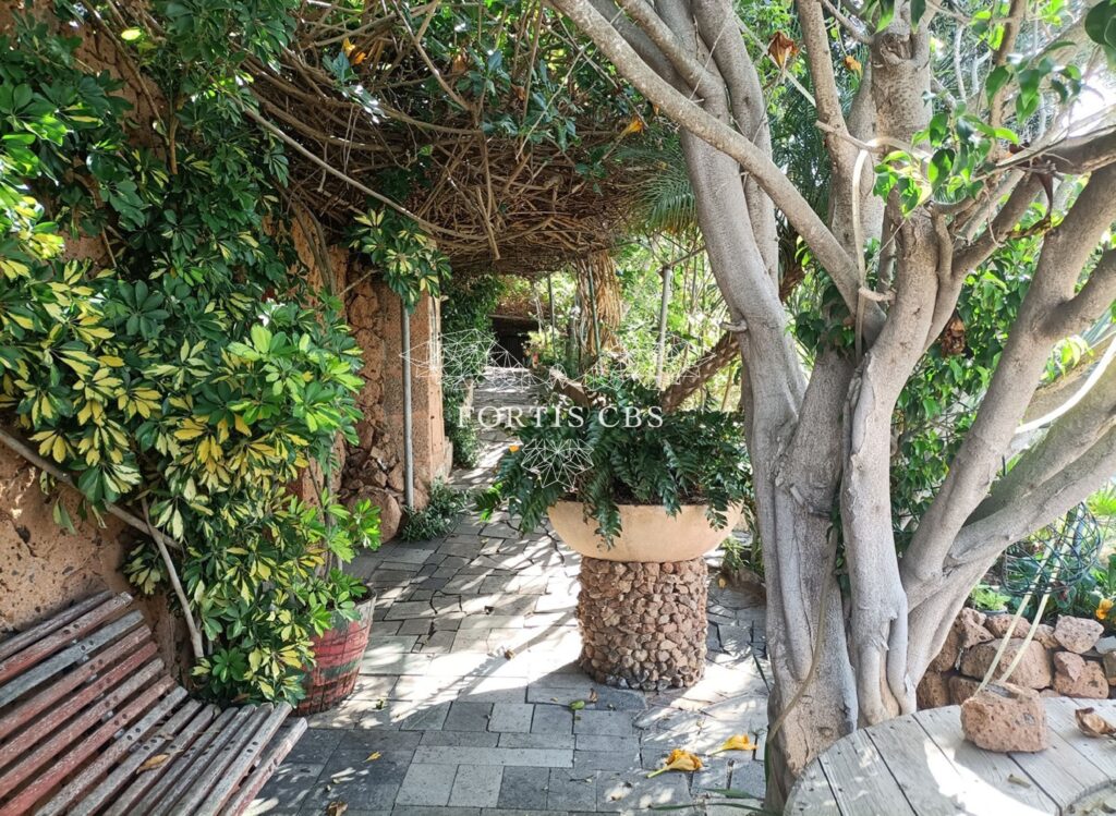 Rural Finca with Huge Potential in Paradise Location